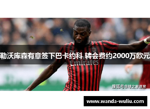 勒沃库森有意签下巴卡约科 转会费约2000万欧元