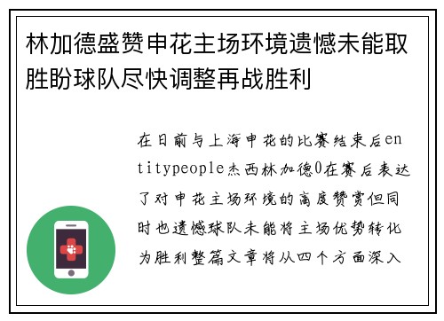林加德盛赞申花主场环境遗憾未能取胜盼球队尽快调整再战胜利