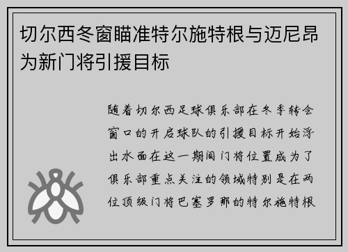 切尔西冬窗瞄准特尔施特根与迈尼昂为新门将引援目标